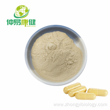 Ginseng Extract Powder 80% Ginsenosides UV